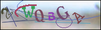 Registration Image